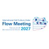 Flow Meeting